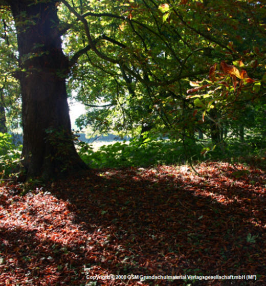 Komm In Den Totgesagten Park Stefan George Komm in den totgesagten Park (Stefan George) - Medienwerkstatt