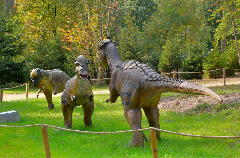 Bilder Von Dino Zoo Metelen